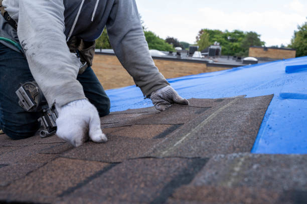 Quick and Trustworthy Emergency Roof Repair Services in Bonne Terre, MO